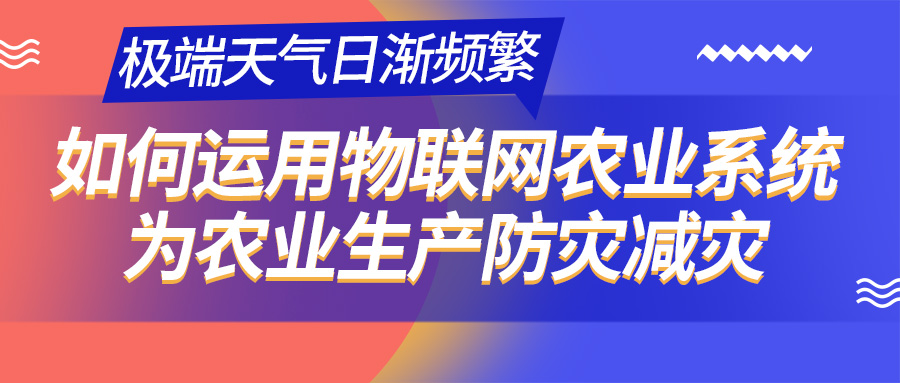 极端天气日渐频繁，如何运用物联网农业系统为农业生产防灾减灾